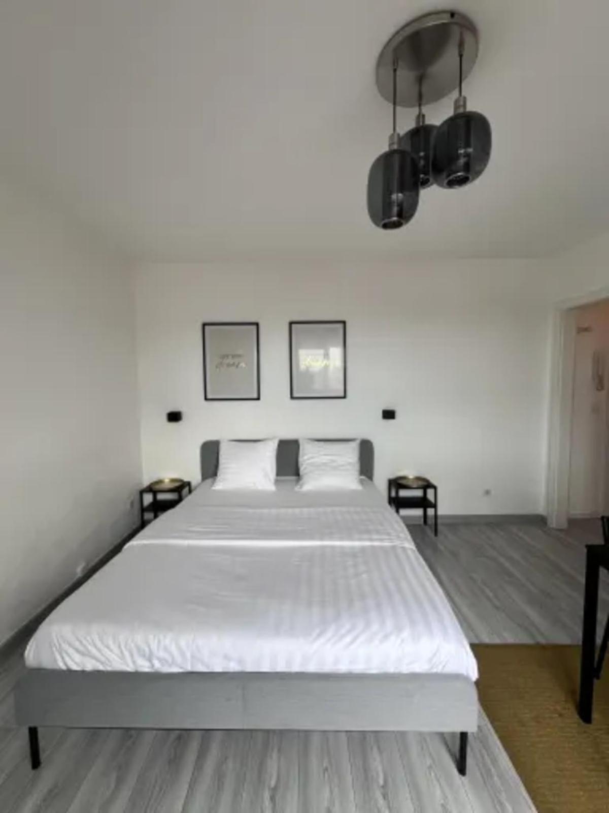 Cosy Rent Strasbourg Wifi Terrasse St Aloise Villa Kültér fotó