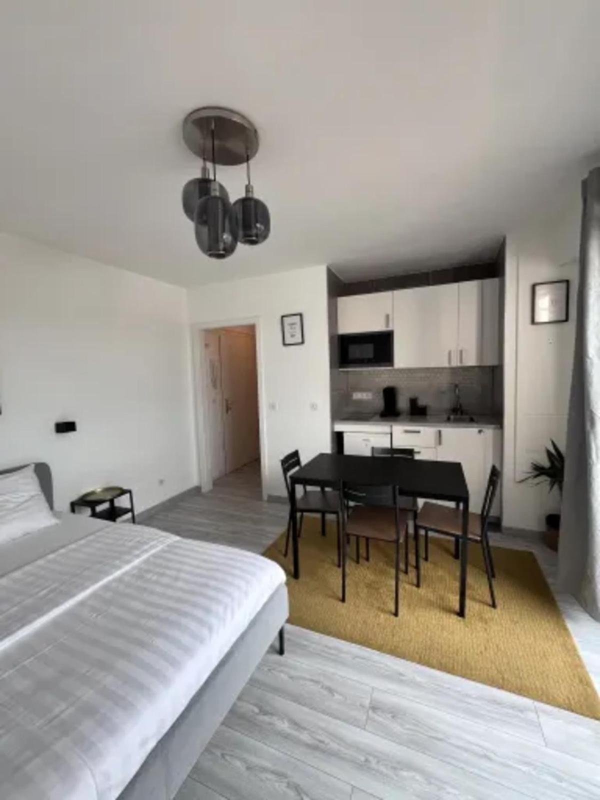 Cosy Rent Strasbourg Wifi Terrasse St Aloise Villa Kültér fotó